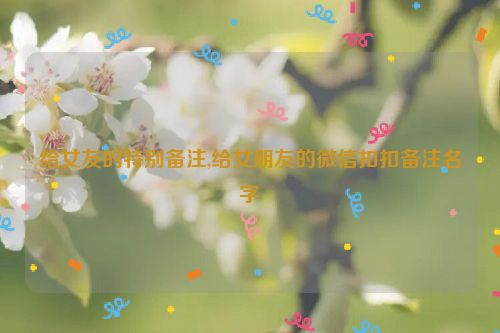 给女友的特别备注,给女朋友的微信扣扣备注名字