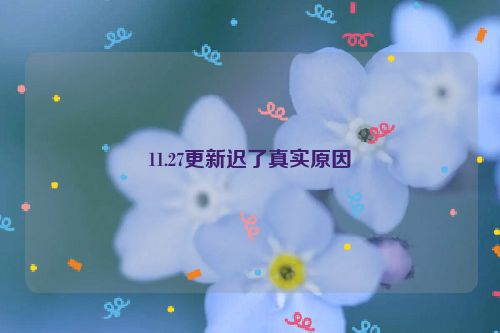 11.27更新迟了真实原因