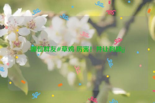 哪位群友#草鸡 厉害！并让狗舔jj