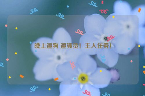 晚上遛狗 遛骚货！主人任务！