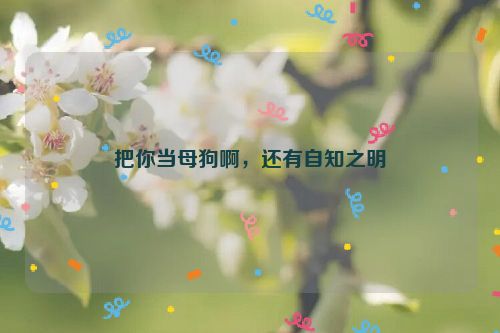 把你当母狗啊，还有自知之明