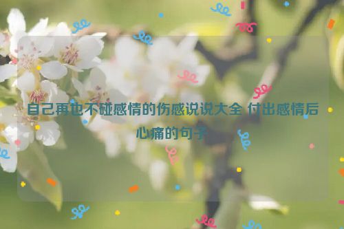 自己再也不碰感情的伤感说说大全 付出感情后心痛的句子