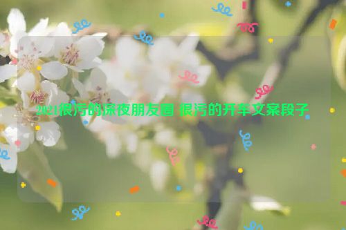 2021很污的深夜朋友圈 很污的开车文案段子