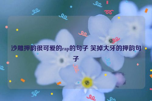 沙雕押韵很可爱的rap的句子 笑掉大牙的押韵句子