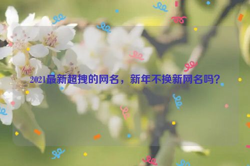 2021最新超拽的网名，新年不换新网名吗？