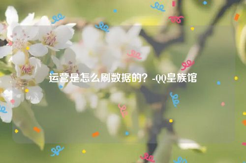 运营是怎么刷数据的？-QQ皇族馆