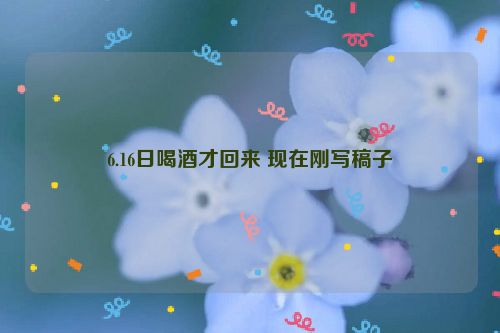 6.16日喝酒才回来 现在刚写稿子