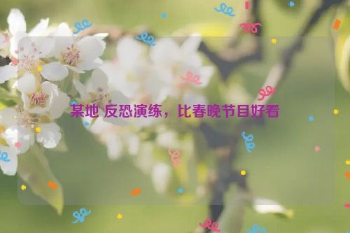 某地 反恐演练，比春晚节目好看