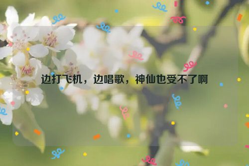 边打飞机，边唱歌，神仙也受不了啊