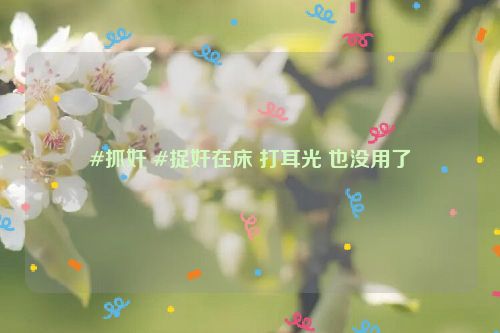 #抓奸 #捉奸在床 打耳光 也没用了