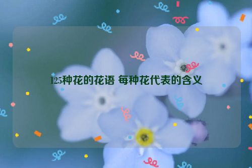 125种花的花语 每种花代表的含义