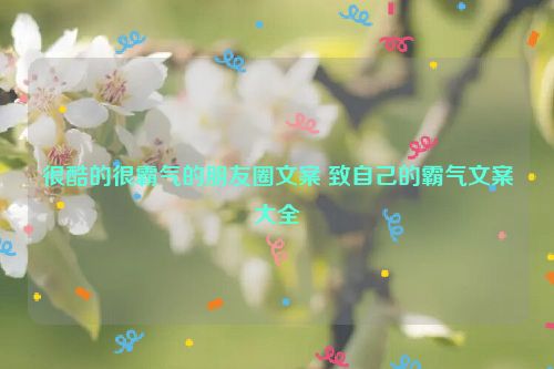 很酷的很霸气的朋友圈文案 致自己的霸气文案大全