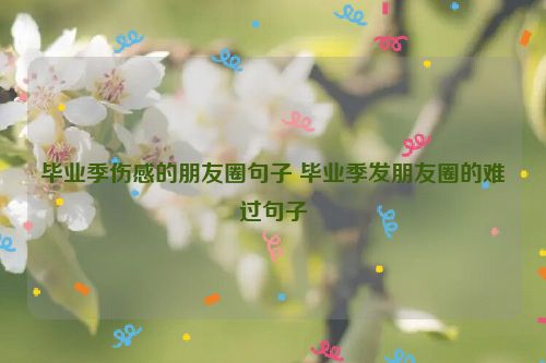 毕业季伤感的朋友圈句子 毕业季发朋友圈的难过句子